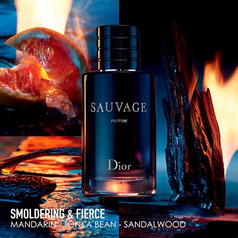 sauvage dior mercadona|Sauvage Dior cologne .